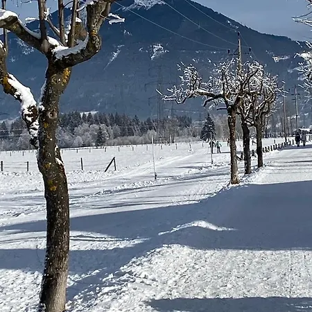 Adler By Jara Appartement *