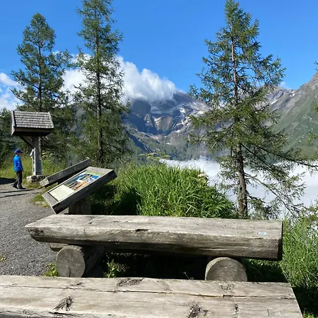 Adler By Jara Kaprun